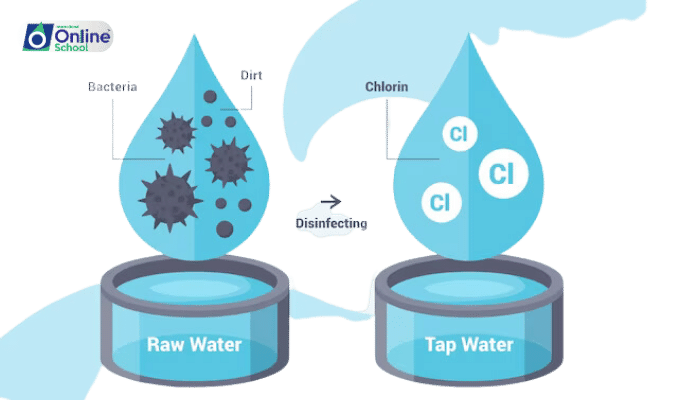 Lesson 12: Water Movement in Different Tonic Conditions